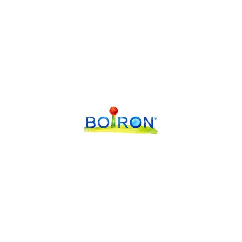 Boiron Actaea Racem Boi 5ch 80gr 4g