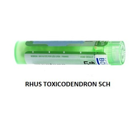 Boiron Rhus Toxicod Boi 5ch 80gr 4g