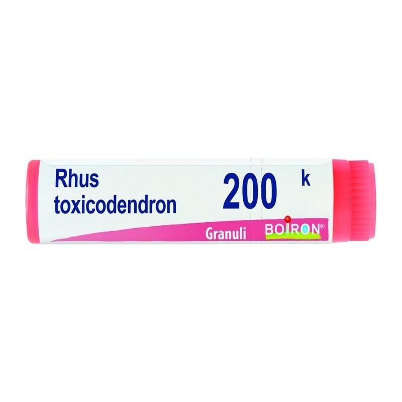 Boiron Rhus Toxicod Boi 200k 80gr4g