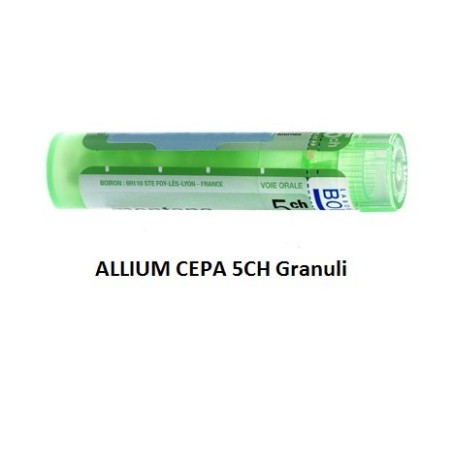 Boiron Allium Cepa Boi 5ch 80gr 4g