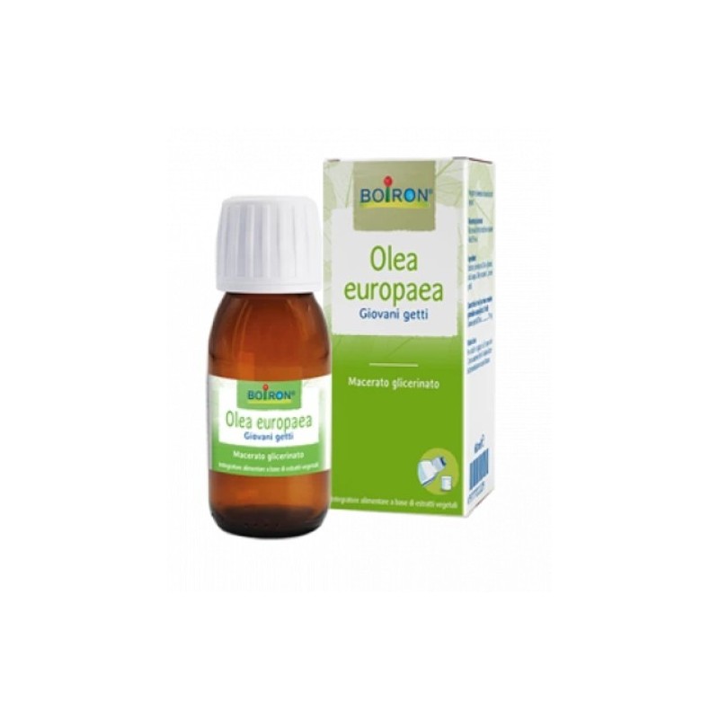 Boiron Olea Europaea Macerato Glicerico 60 Ml Int