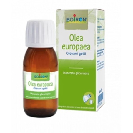 Boiron Olea Europaea Macerato Glicerico 60 Ml Int