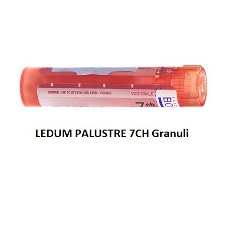 Boiron Ledum Palustre 7 Ch Granuli