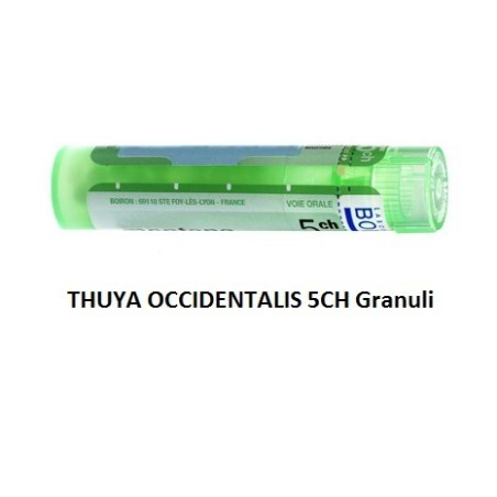 Boiron Thuya Occidentalis 5 Ch Granuli