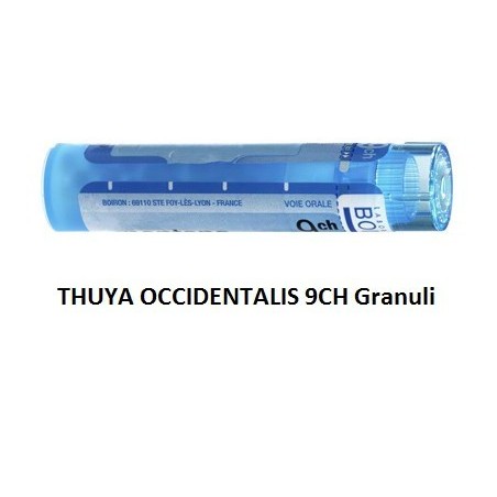 Boiron Thuya Occidentalis 9 Ch Granuli