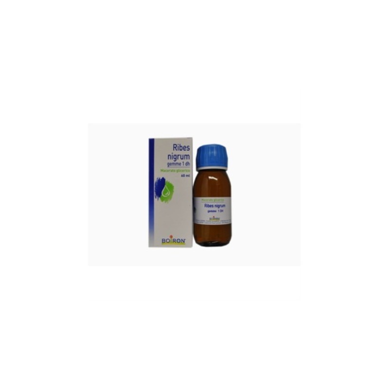 Boiron Ribes Nigranulium Gemme Macerato Glicerico 60 Ml