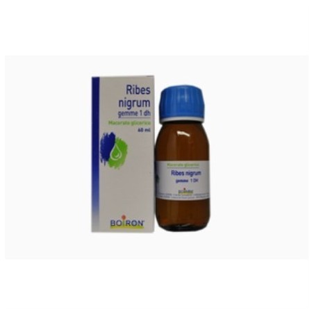 Boiron Ribes Nigranulium Gemme Macerato Glicerico 60 Ml