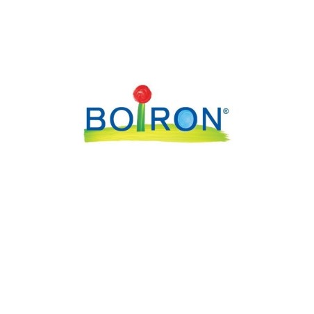 Boiron Arnica 6ch Gr