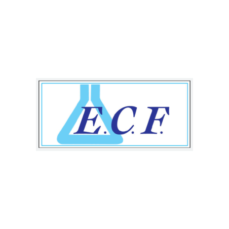 E. C. F. Energie Chimico Farm. Ecofil Detergente 500 Ml