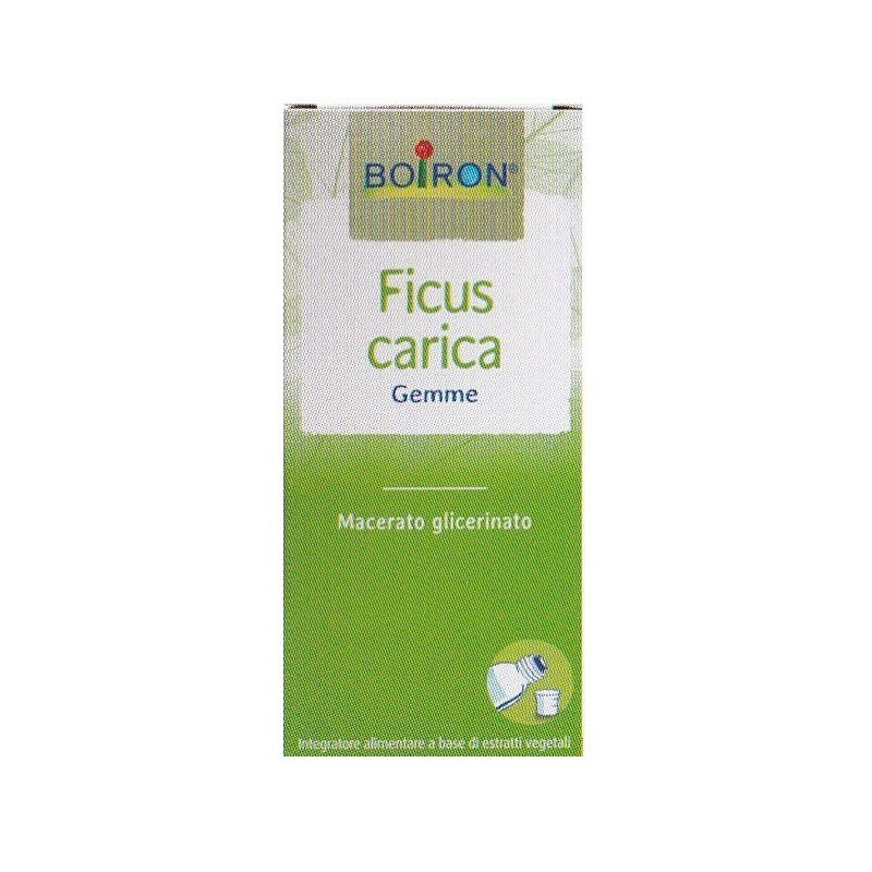 Boiron Ficus Carica Gemme Macerato Glicerinato 60 Ml Int