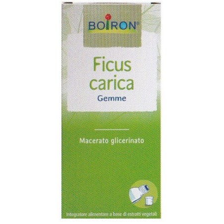 Boiron Ficus Carica Gemme Macerato Glicerinato 60 Ml Int