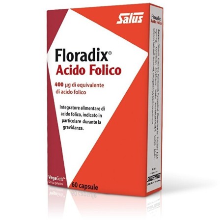 Salus Haus Gmbh & Co Kg Floradix Acido Folico 60 Capsule