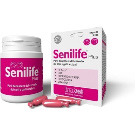 Innovet Italia Senilife Plus 60 Capsule