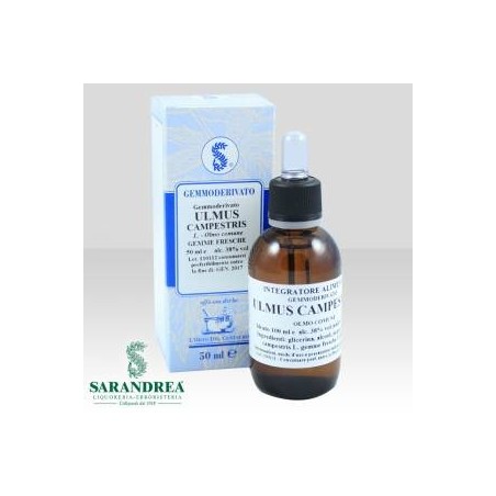 Sarandrea Marco &c. Ulmus Campestris 100 Ml Macerato Glicerico