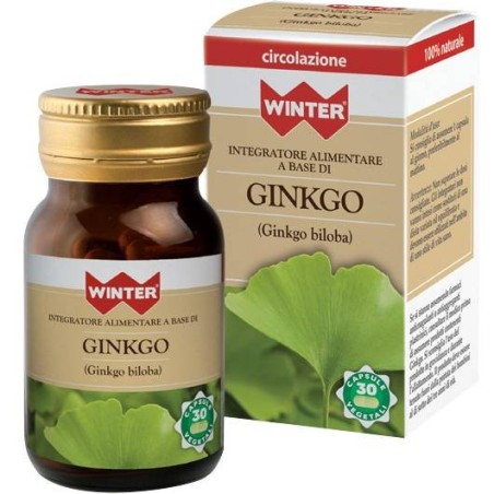 Gdp -general Dietet. Pharma Winter Ginkgo 30 Capsule Vegetali