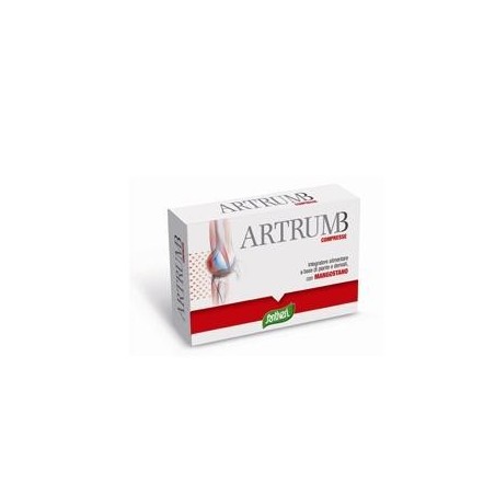 Santiveri Sa Artrum B Con Mangostano 48 Compresse 31 G