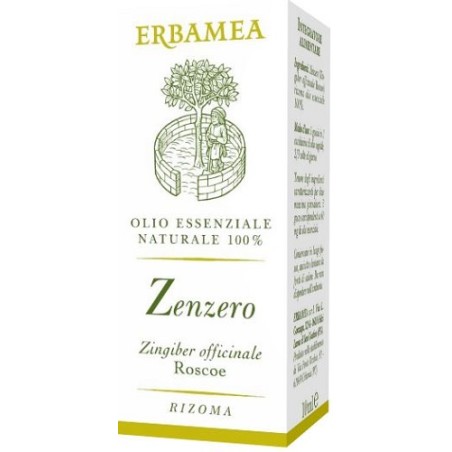 Erbamea Zenzero 10 Ml