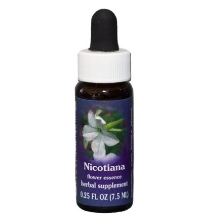 Natur Nicotiana Ess 7,4ml Calf