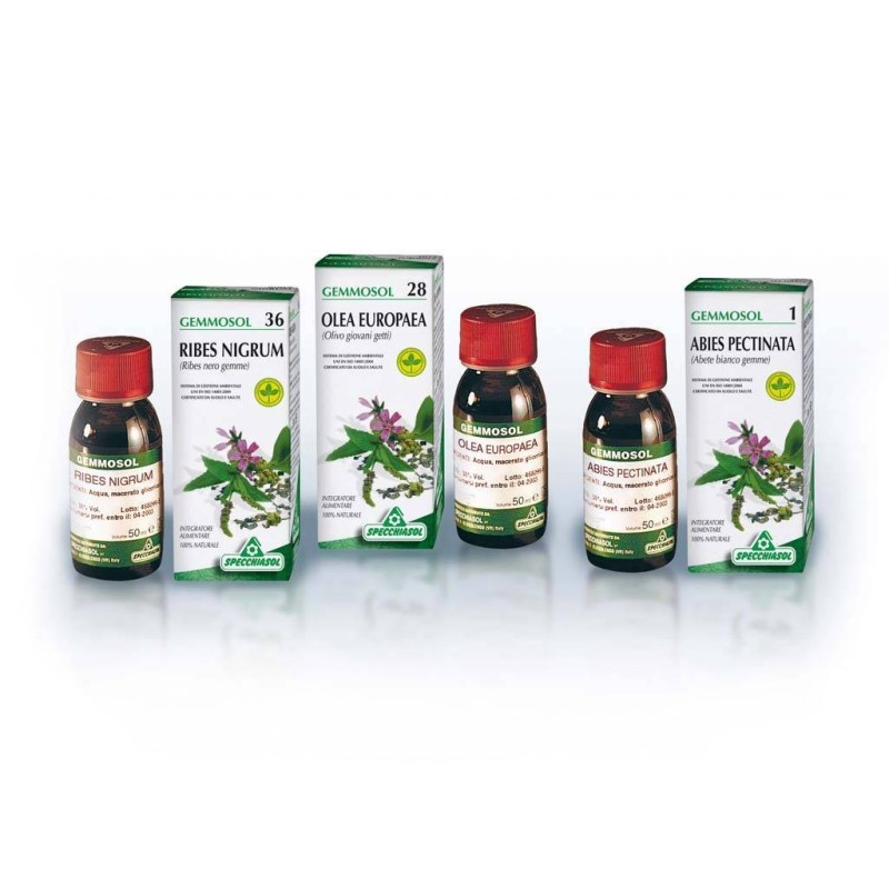 Specchiasol Gemmosol 36 Ribes Nero 50ml