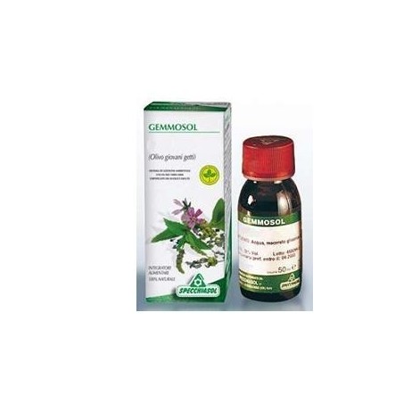 Specchiasol Gemmosol 28 Olivo 50ml