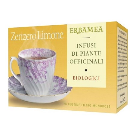 Erbamea Zenzero/lim Bio 20 Bustine 30 G