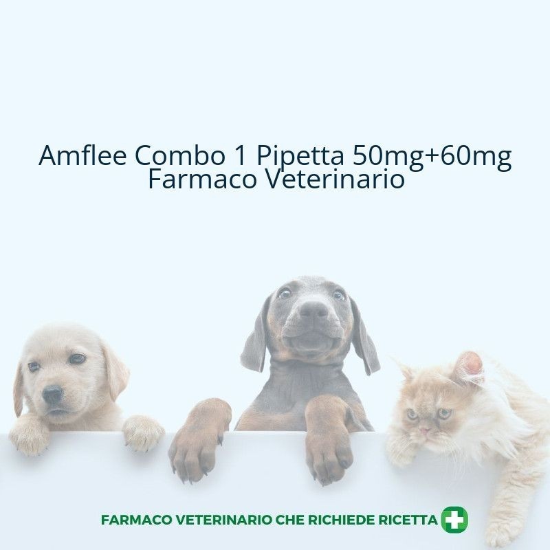 Krka Amflee Combo 50 Mg/60 Mg Soluzione Spot-on Per Gatti E Furetti