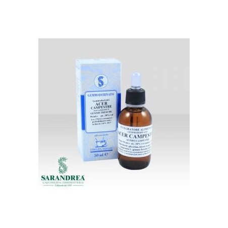 Sarandrea Acer Campestre 100 Ml Macerato Glicerico