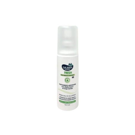 Italsilva Commerciale Sauber Fresh Deodorante Vapo 100 Ml