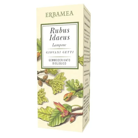 Erbamea Rubus Idaeus Lampone Bio 50 Ml