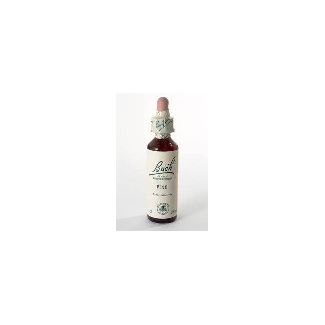 Schwabe Pharma Pine Bach Orig 20 Ml