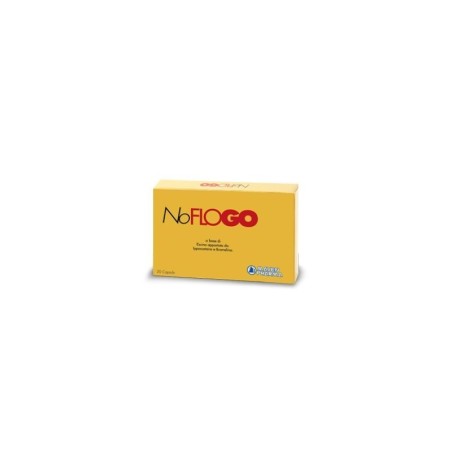 Maven Pharma Noflogo 20 Compresse