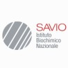 I. B. N. Savio