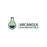 Arcangea